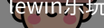LEWIN乐玩